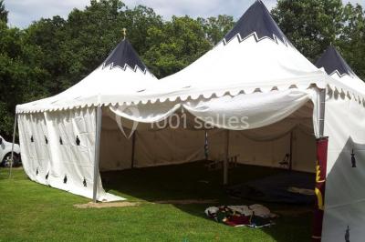 Plateaux de fruits frais composés de bananes, ananas, raisins, fraises, oranges et pastèques, décorés avec des couteaux.