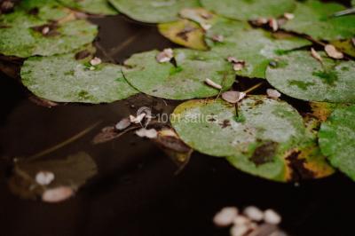 Table et chaises en fer forgé avec coussins bleus sur une terrasse ensoleillée devant un bâtiment en briques et grandes…