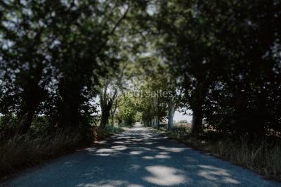 Table et chaises en fer forgé avec coussins bleus sur une terrasse ensoleillée devant un bâtiment en briques et grandes…