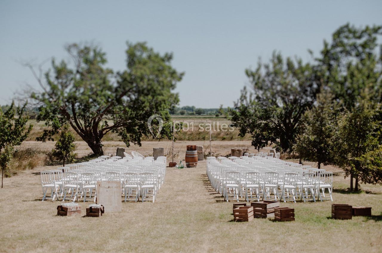 Chaises blanches alignées en extérieur pour une cérémonie, entourées d'arbres et de caisses en bois sur une pelouse.