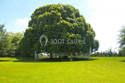 Location salle Cordey (Calvados) - Manoir De Carabillon #23