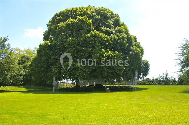 Location salle Cordey (Calvados) - Manoir De Carabillon #15