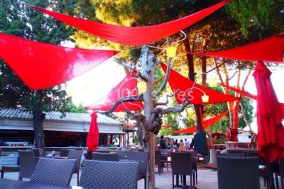 Location salle Saint-Cyprien (Pyrénées-Orientales) - Côté Jardin #18