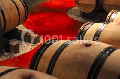 Location salle Saint-Émilion (Gironde) - Château La Couspaude #14