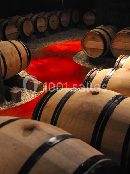 Location salle Saint-Émilion (Gironde) - Château La Couspaude #9