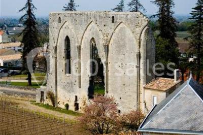 Location salle Saint-Émilion (Gironde) - Château La Couspaude #14