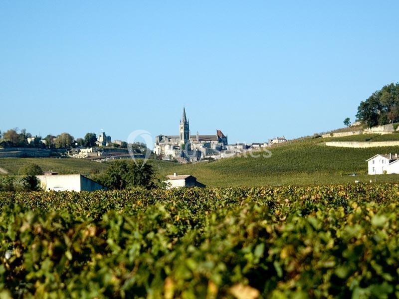 Location salle Saint-Émilion (Gironde) - Château La Couspaude #9