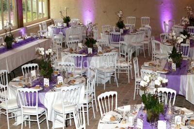 Location salle Maudétour-en-Vexin (Val-d'Oise) - Château De Maudetour #22