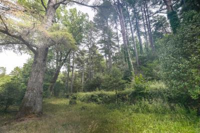 Location salle Méounes-lès-Montrieux (Var) - Montrieux Le Hameau #11