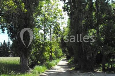 Miniature Location salle Lamanon (Bouches-du-Rhône) - Domaine De Beauvezet #15 Location salle Lamanon (Bouches-du-Rhône) - Domaine De Beauvezet #22