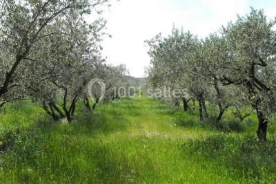 Miniature Location salle Lamanon (Bouches-du-Rhône) - Domaine De Beauvezet #17 Location salle Lamanon (Bouches-du-Rhône) - Domaine De Beauvezet #22