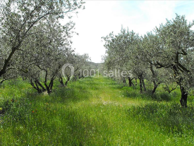 Location salle Lamanon (Bouches-du-Rhône) - Domaine De Beauvezet #17