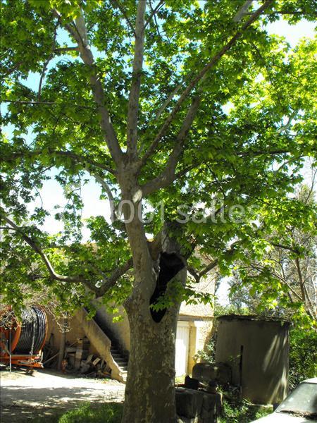 Location salle Lamanon (Bouches-du-Rhône) - Domaine De Beauvezet #19