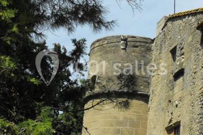 Miniature Location salle Lamanon (Bouches-du-Rhône) - Domaine De Beauvezet #20 Location salle Lamanon (Bouches-du-Rhône) - Domaine De Beauvezet #22