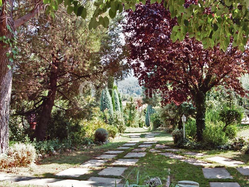 Location salle Auriol (Bouches-du-Rhône) - Villa Quelude #5