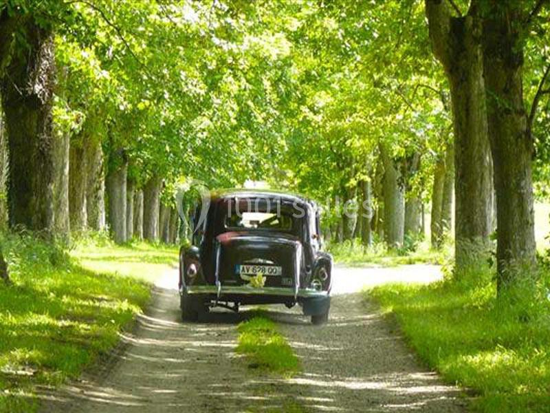 Location salle Trouhans (Côte-d'Or) - Château De Trouhans #5