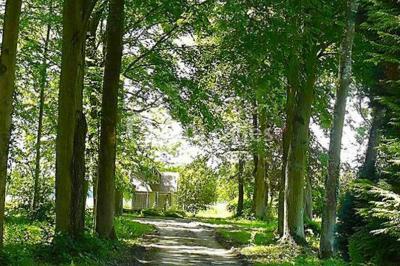 Location salle Trouhans (Côte-d'Or) - Château De Trouhans #16