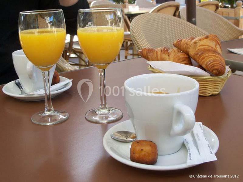 Location salle Trouhans (Côte-d'Or) - Château De Trouhans #7