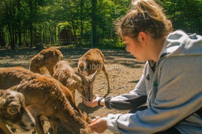 Visite animalière Domaine de la Dombes Ain