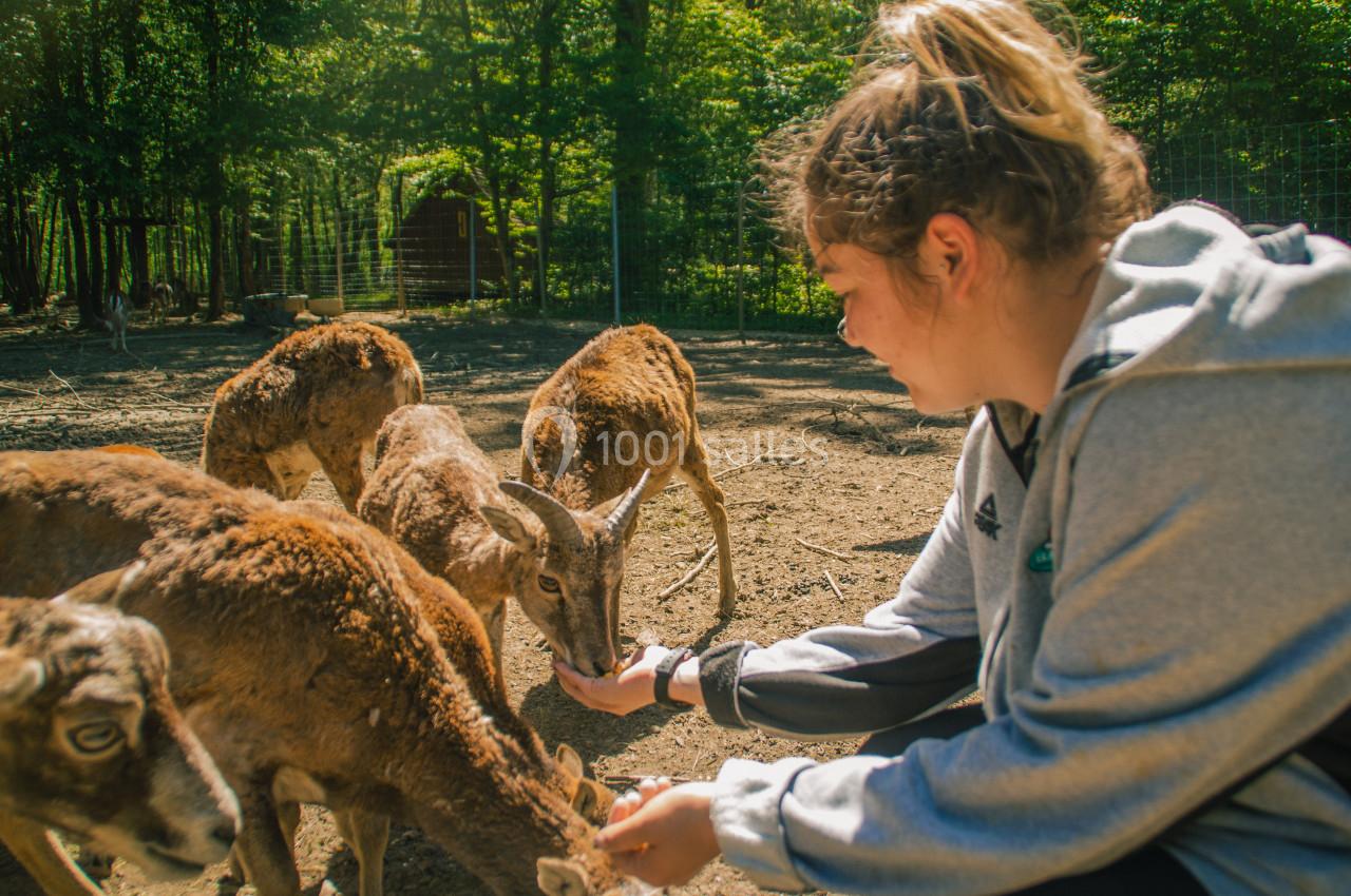 Visite animalière Domaine de la Dombes Ain