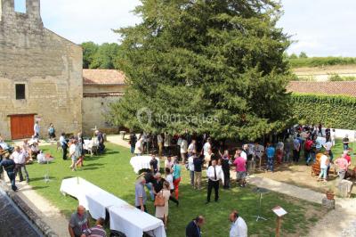 Location salle Saint-Bris-des-Bois (Charente-Maritime) - Abbaye de Fontdouce #27