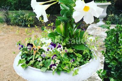 Façade d'un grand bâtiment ancien entouré de motos stationnées sur une pelouse et une allée gravillonnée.