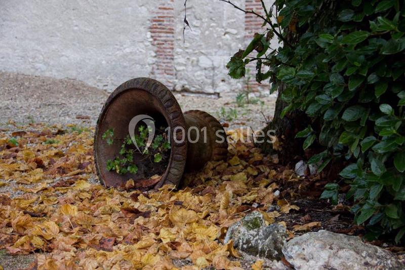 Pot renversé avec des plantes, entouré de feuilles mortes au sol, près d'un mur en pierre et d'un buisson.