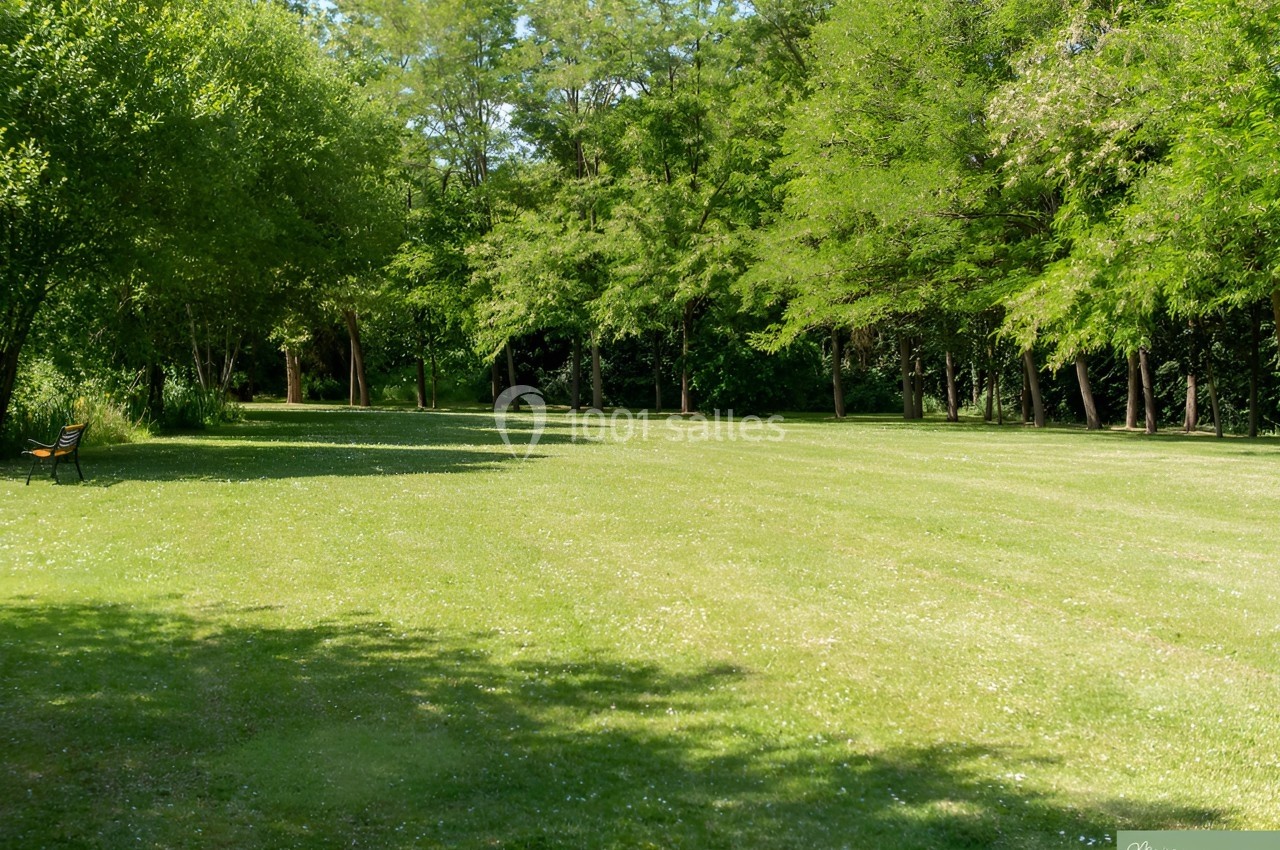 Pelouse verdoyante entourée d'arbres sous un ciel dégagé, avec un banc isolé sur la gauche.
