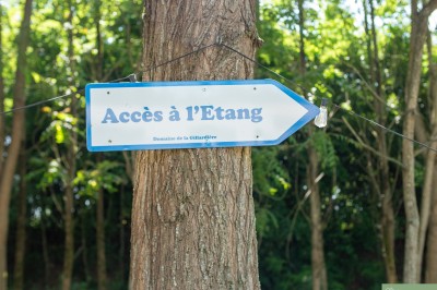 Petits plats individuels contenant purée, morceaux de viande en sauce et cuillères en bois, disposés sur un plateau.
