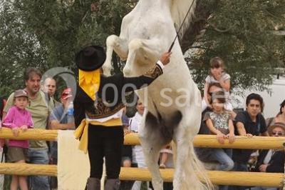Location salle Beaucaire (Gard) - Domaine de l'Estancia #19