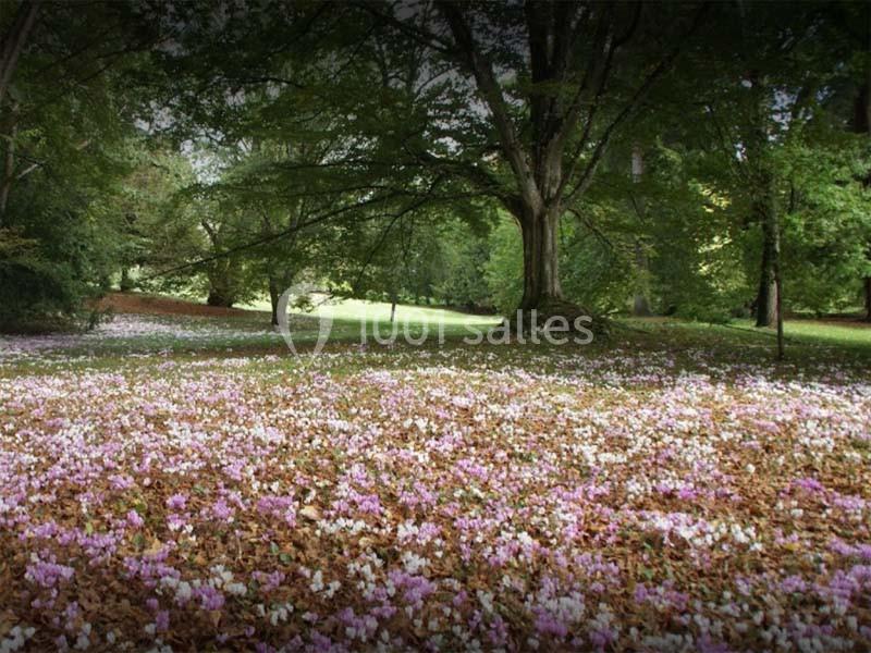 Location salle Esvres (Indre-et-Loire) - Château de Vaugrignon #14