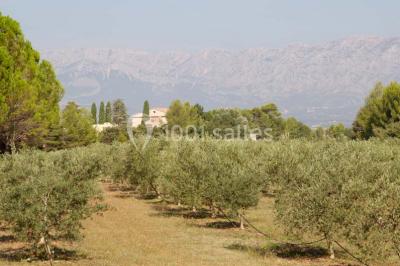 Location salle Trets (Bouches-du-Rhône) - Domaine De La Pomme #22