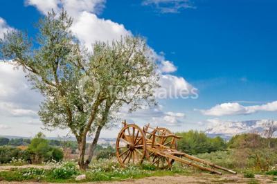 Location salle Trets (Bouches-du-Rhône) - Domaine De La Pomme #22