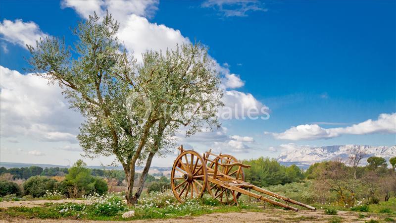 Location salle Trets (Bouches-du-Rhône) - Domaine De La Pomme #20