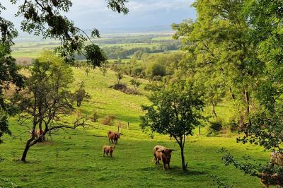 Location salle Saxon-Sion (Meurthe-et-Moselle) - La Grange Inspirée #41