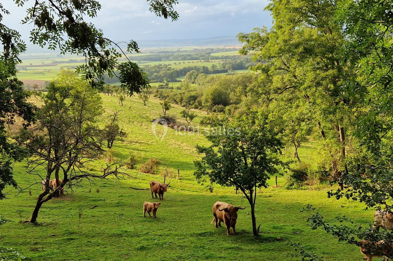 Location salle Saxon-Sion (Meurthe-et-Moselle) - La Grange Inspirée #40