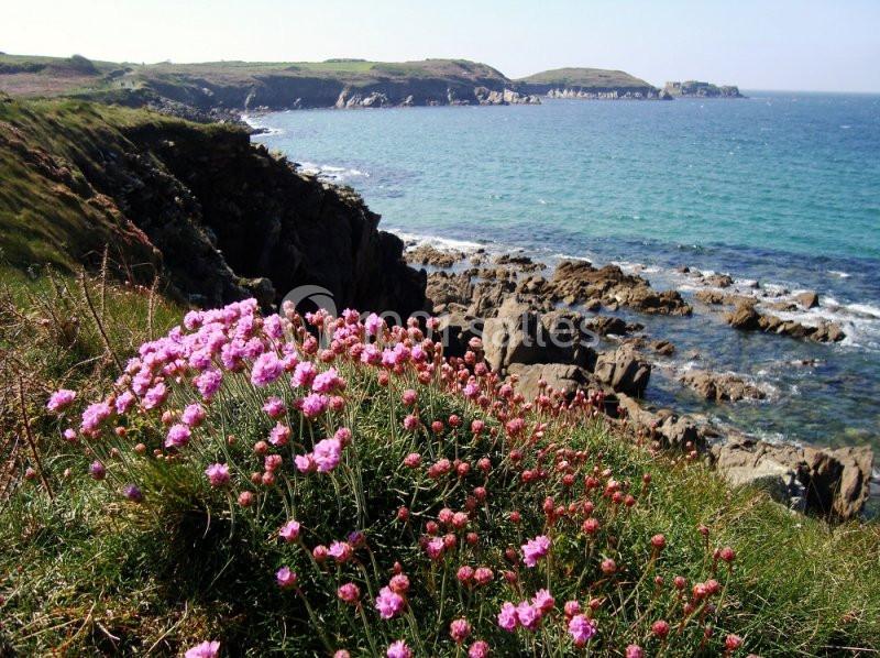 Location salle Le Conquet (Finistère) - Village Beauséjour – Rêves de Mer #13