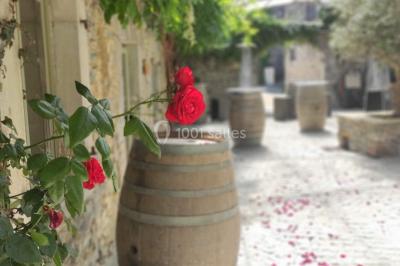 Location salle Gan (Pyrénées-Atlantiques) - Domaine de Lucain #15