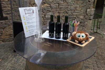 Location salle Gan (Pyrénées-Atlantiques) - Domaine de Lucain #13