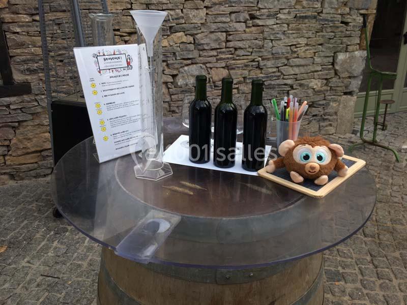 Location salle Gan (Pyrénées-Atlantiques) - Domaine de Lucain #10