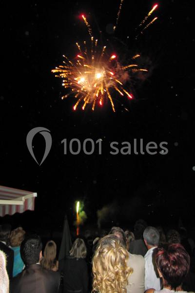 Un groupe de personnes regarde un feu d'artifice coloré illuminant le ciel nocturne.