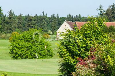 Plateau de canapés variés avec mini-sandwichs, toasts garnis et brochettes, disposé sur une table blanche.