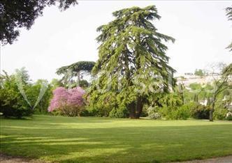 Location salle Poitiers (Vienne) - Villa Emma - L'orangerie #22