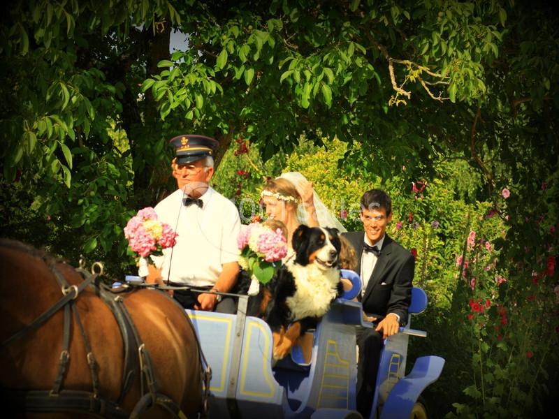 Location salle La Romieu (Gers) - Jardins de Coursiana #8