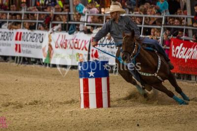 Location salle La Roche-sur-Foron (Haute-Savoie) - Rochexpo - Parc Des Expositions #23