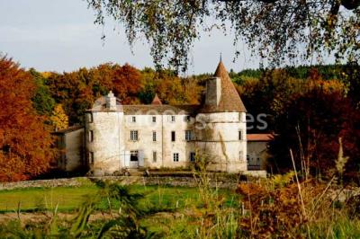 Location salle Saint-Dier-d'Auvergne (Puy-de-Dôme) - Château Des Martinanches #24