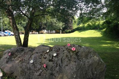Roc couvert de mousse orné de fleurs colorées, situé dans un parc verdoyant sous des arbres.