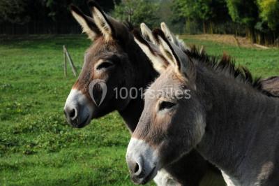 Chambre avec lit rond, couverture rouge, pétales de rose, lampe de chevet et plafond en bois avec suspension plumeuse.