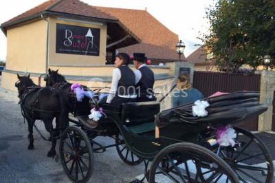 Chambre avec lit rond, couverture rouge, pétales de rose, lampe de chevet et plafond en bois avec suspension plumeuse.