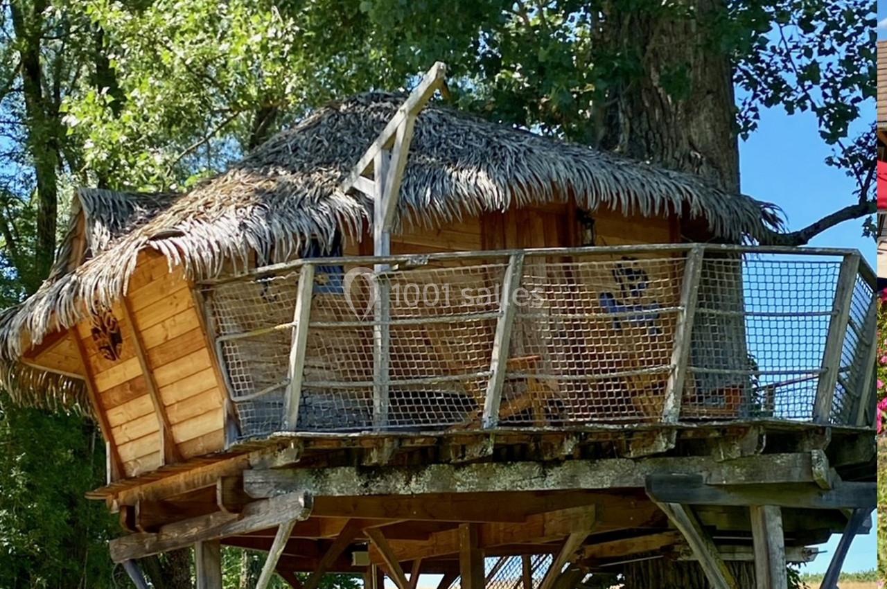 Cabane en bois sur pilotis avec toit en chaume, entourée de filets, située dans un environnement arboré.